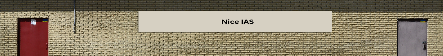 Nice IAS